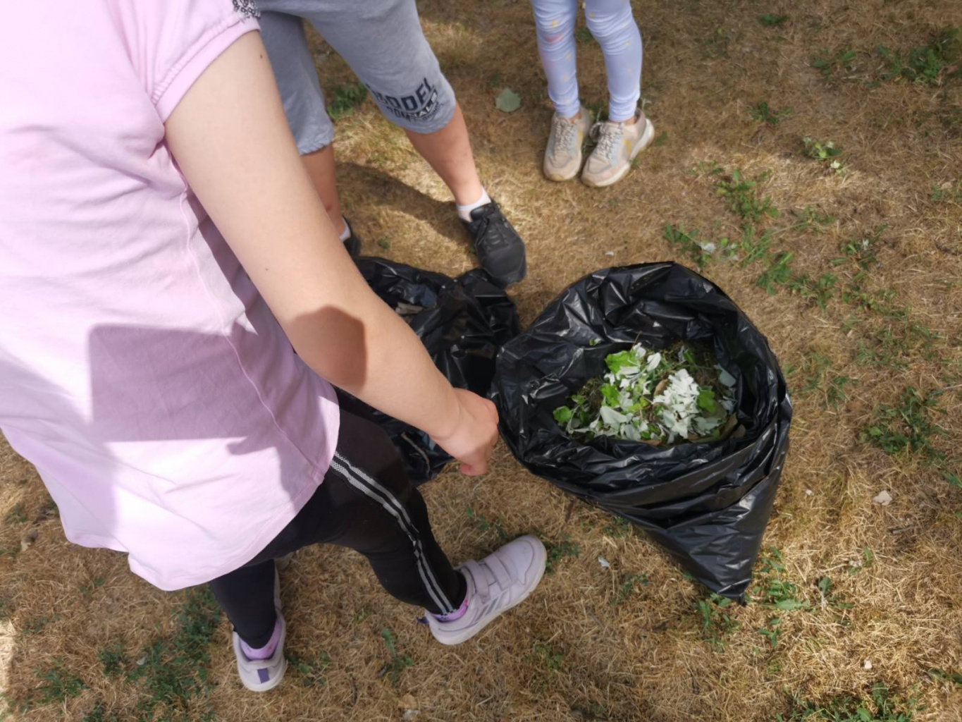 IMG-154089065a6ff3fb21a4feec1996b674-V.jpg IMG-154089065a6ff3fb21a4feec1996b674-V.jpg